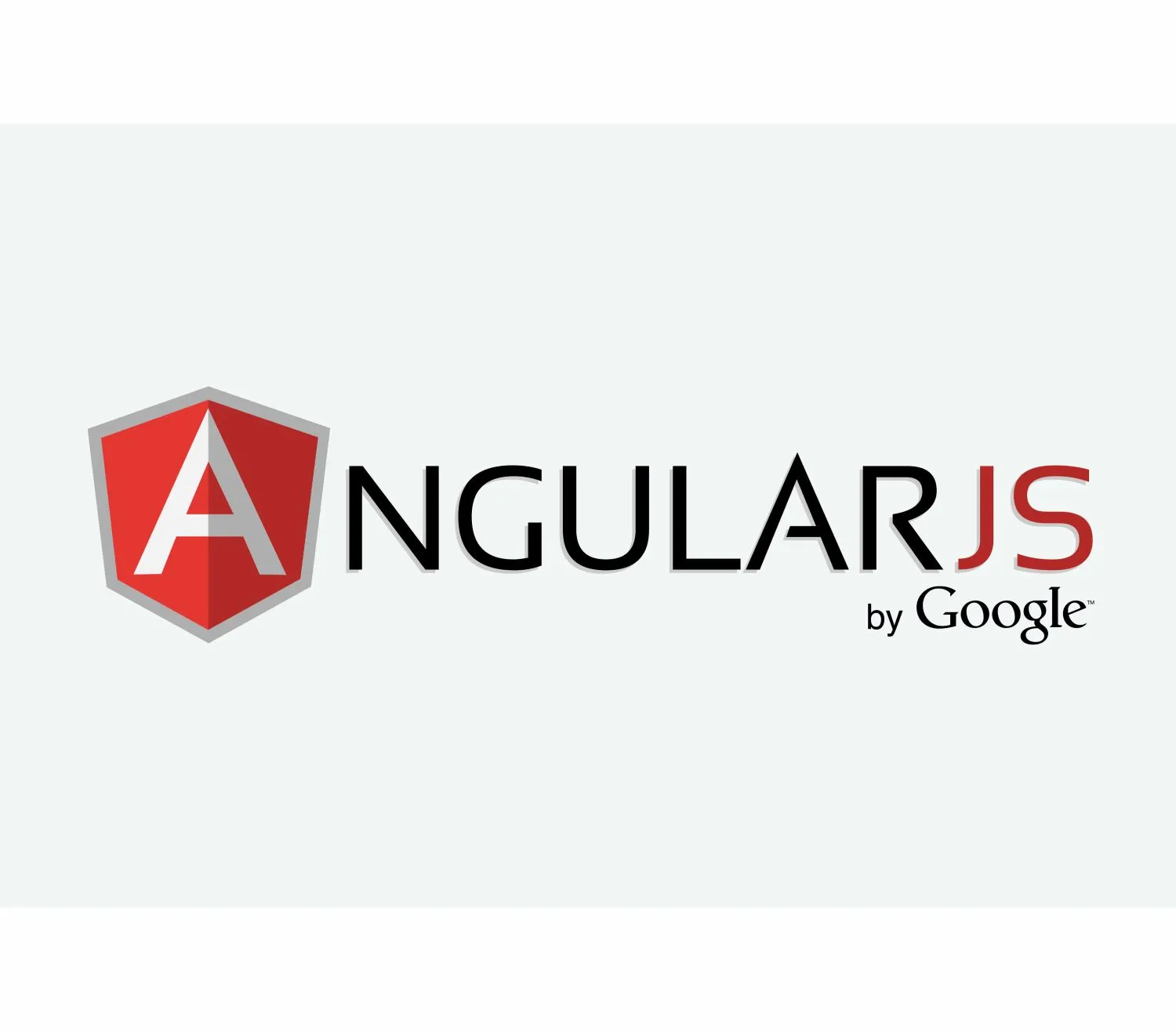 angular js course